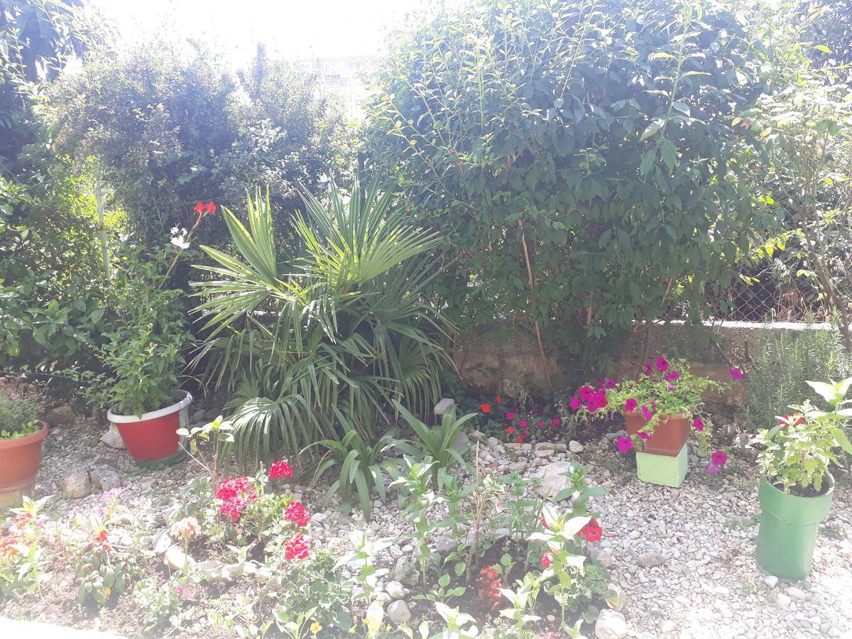 Green Hostel Zadar Eksteriør bilde